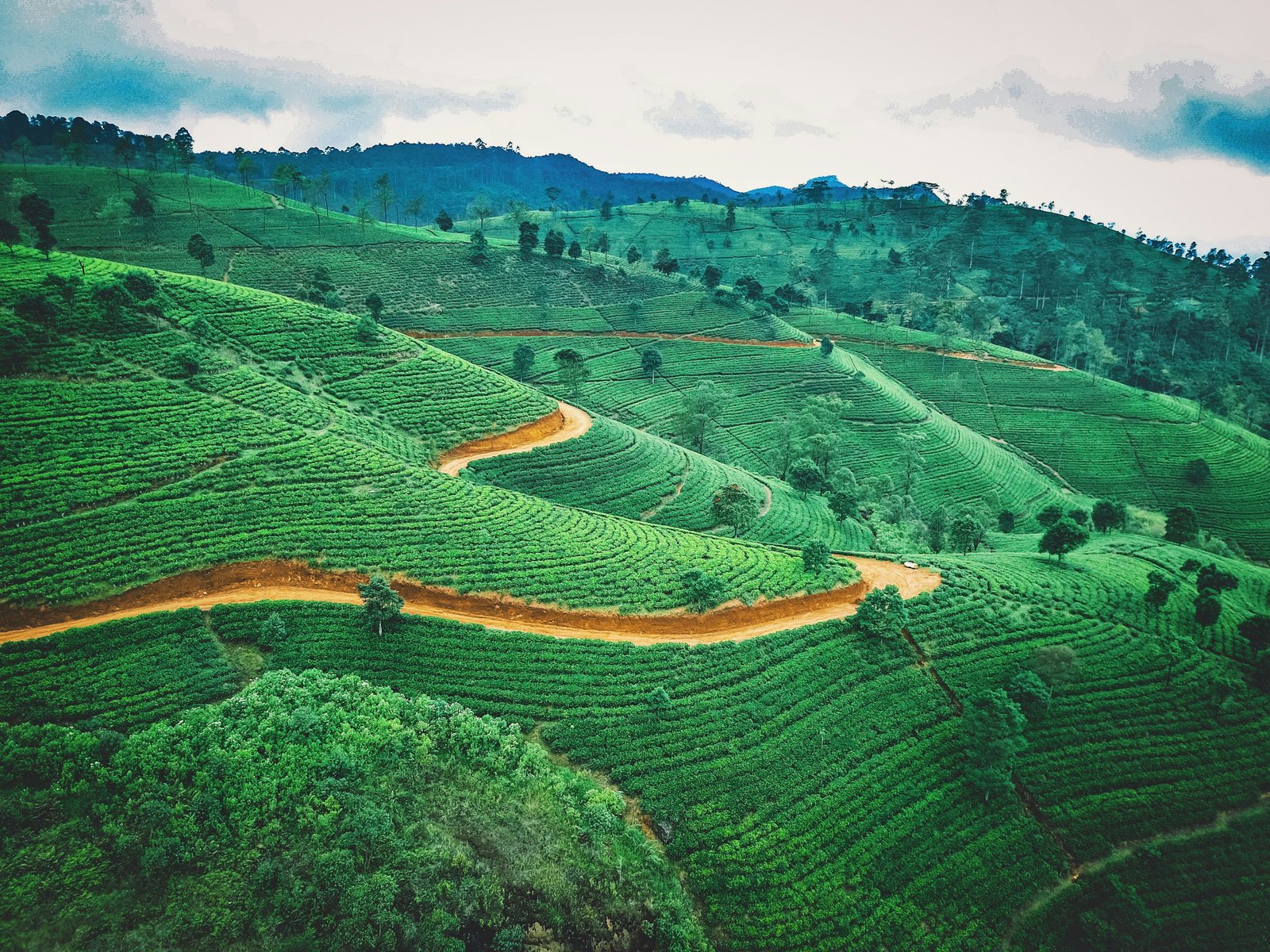 Sri Lanka landscape