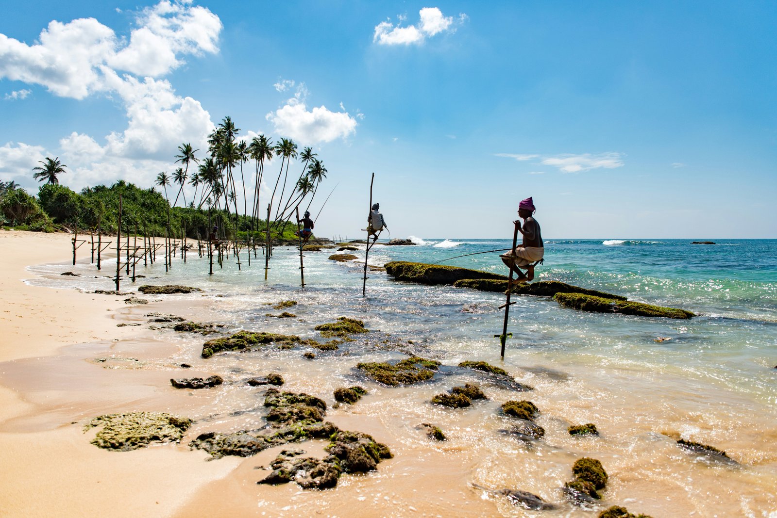 Private chauffeur-guide driving through Sri Lanka's hill country