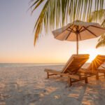 Sri Lanka east coast beach with palm trees and loungers
