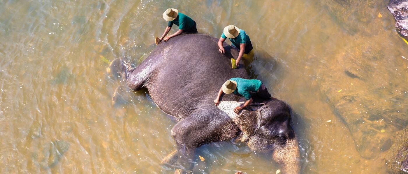 Family with elephant at a Sri Lanka wildlife sanctuary