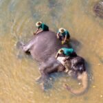 Family with elephant at a Sri Lanka wildlife sanctuary