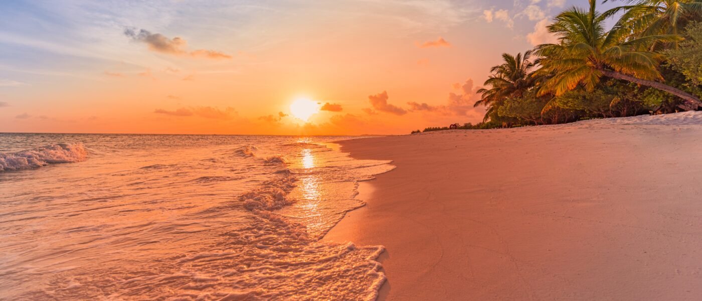 Golden sunset over a palm-fringed beach on Sri Lanka south coast