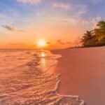 Golden sunset over a palm-fringed beach on Sri Lanka south coast