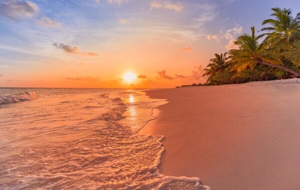 Sri Lanka South Coast Beach Escape — 8 Days