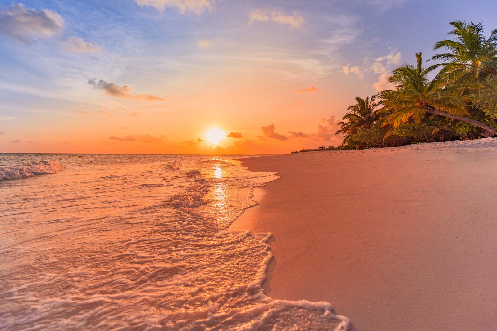 Golden sunset over a palm-fringed beach on Sri Lanka south coast